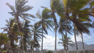 Playa el Agua, Margarita.