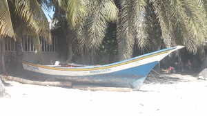 Listos para ir a la pesca
