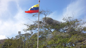 La más hermosa Bandera, la de Venezuela!