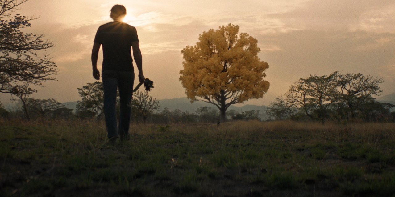 Película venezolana “La Sombra de Sol” gana Mejor Largometraje Latinoamericano