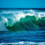 Día Mundial de los Océanos, una fecha dedicada a reconocer la mayor maravilla de la naturaleza