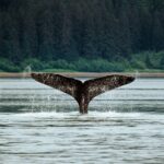 El 7 de julio se celebra el Día de las Maravillas con el impulso del ecoturismo